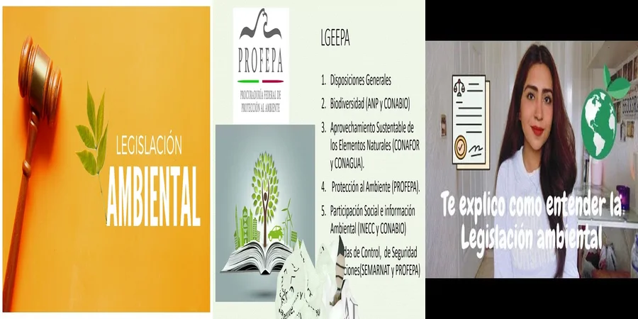 "Normas ambientales en México: derechos y obligaciones vigentes"
