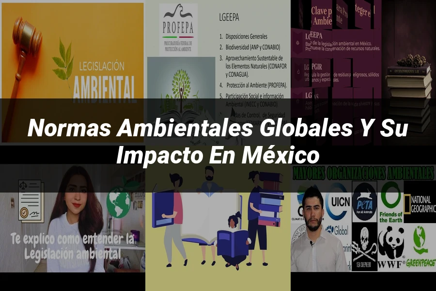 "Normas ambientales globales y su impacto en México"