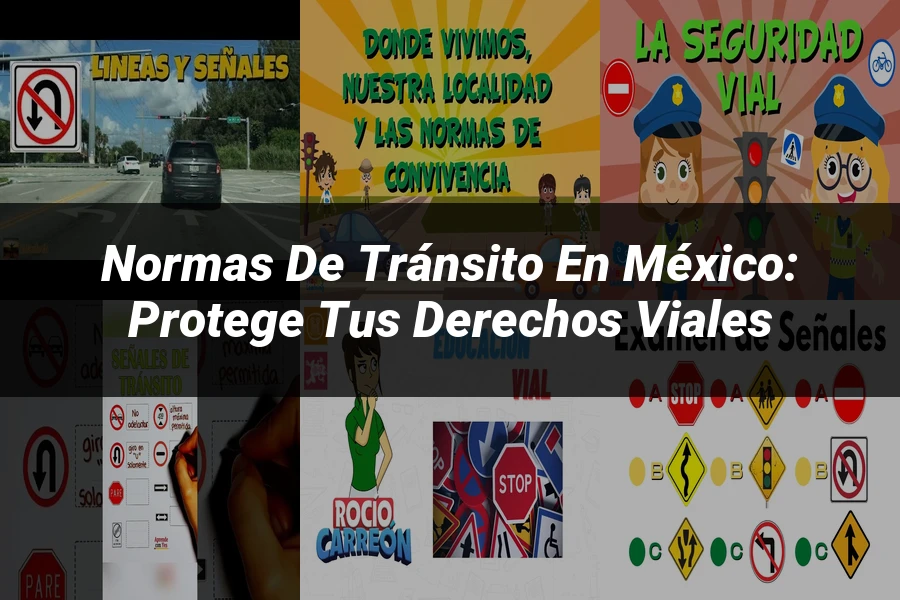 "Normas de Tránsito en México: Protege tus Derechos Viales"