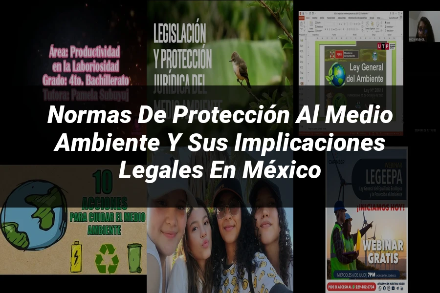 "Normas de protección al medio ambiente y sus implicaciones legales en México"