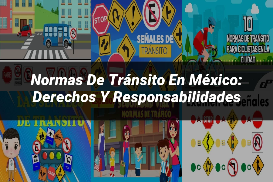 "Normas de tránsito en México: derechos y responsabilidades"