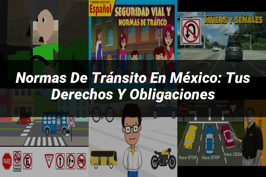 "Normas de tránsito en México: tus derechos y obligaciones"