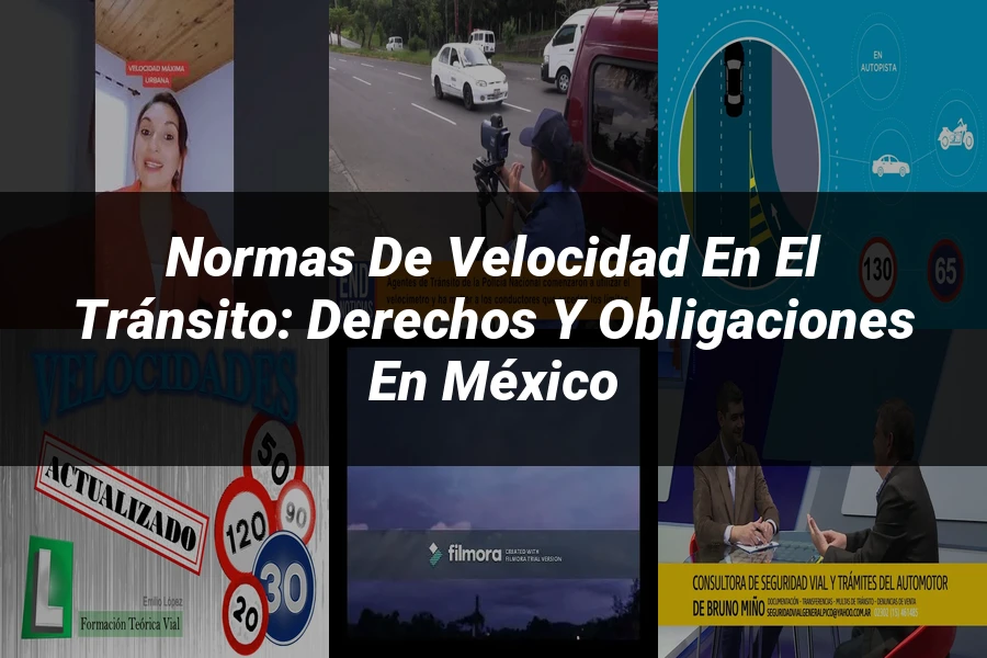 "Normas de velocidad en el tránsito: derechos y obligaciones en México"