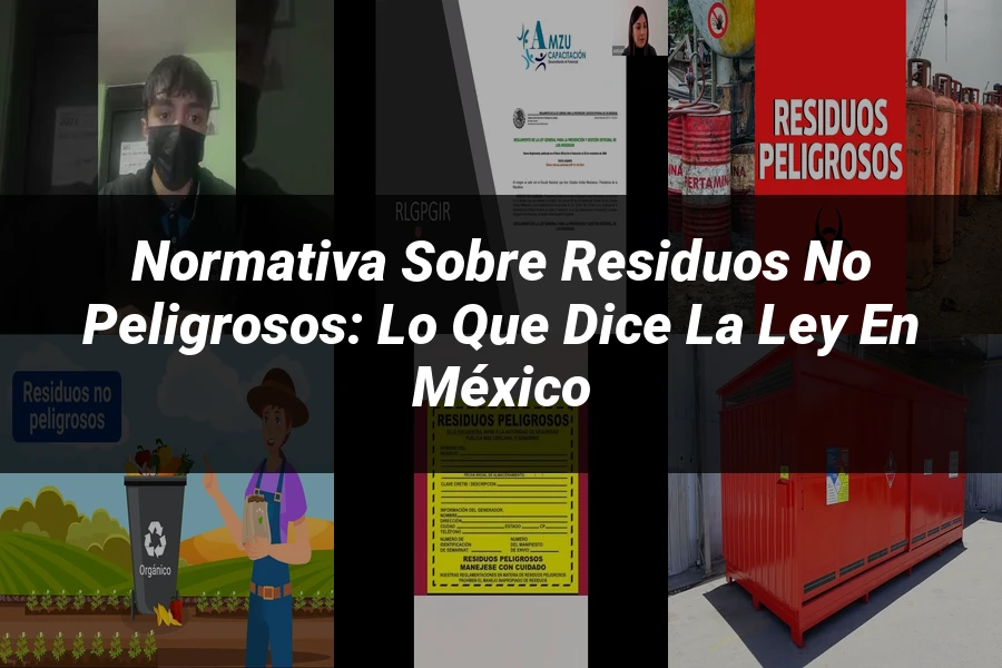 "Normativa sobre Residuos No Peligrosos: Lo que Dice la Ley en México