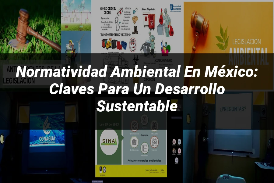 "Normatividad Ambiental en México: Claves para un Desarrollo Sustentable"