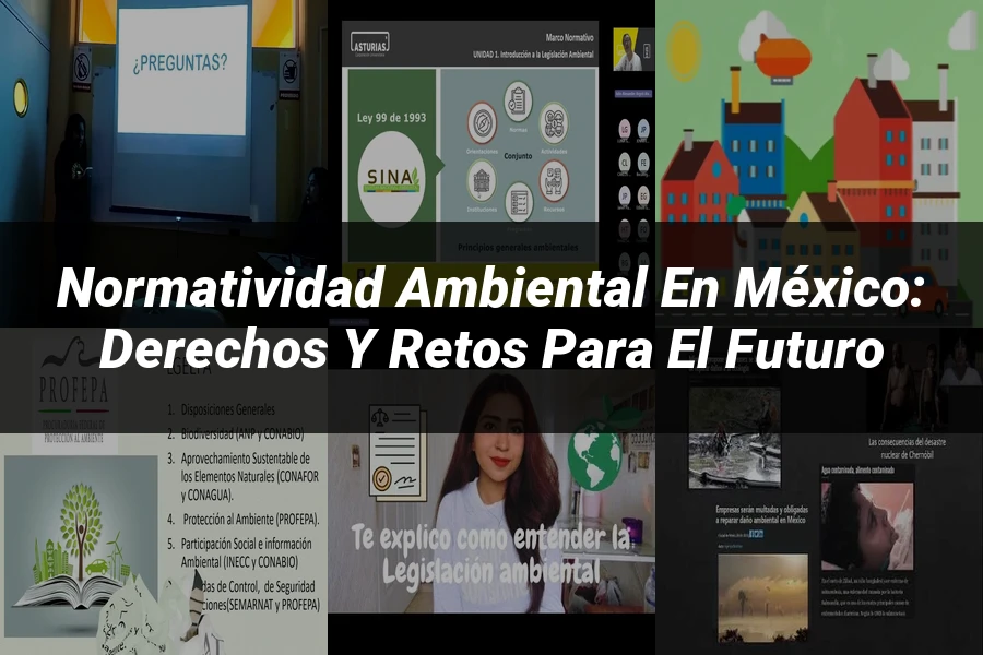 "Normatividad ambiental en México: derechos y retos para el futuro"