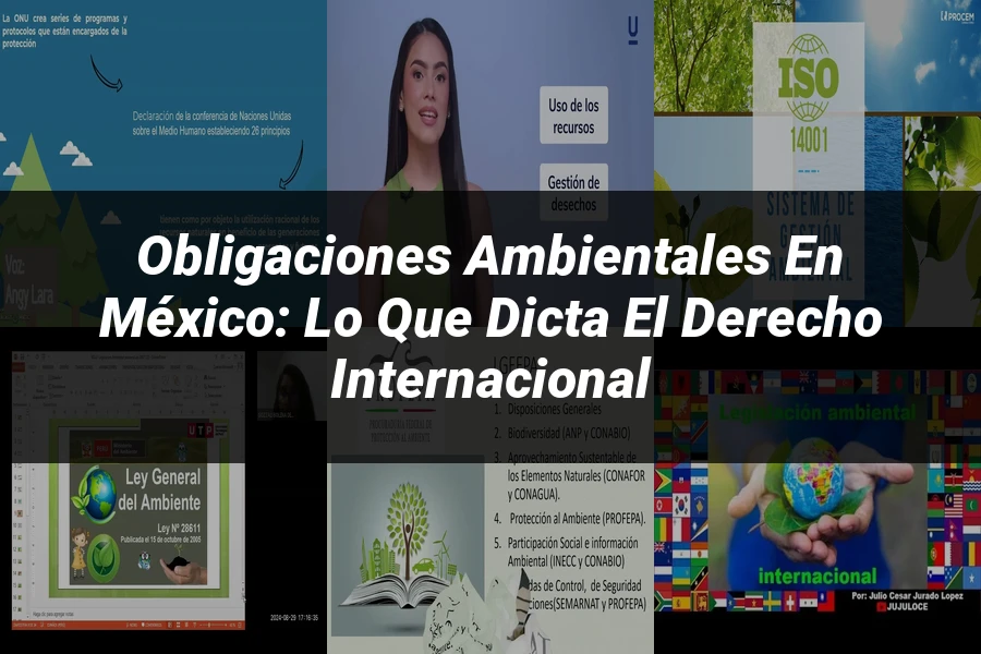 "Obligaciones Ambientales en México: Lo Que Dicta el Derecho Internacional"
