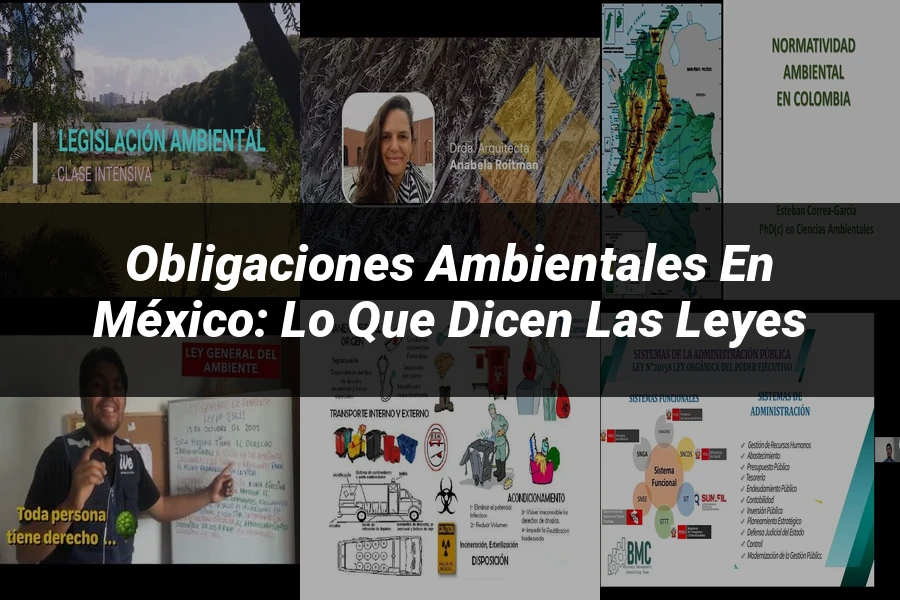 "Obligaciones Ambientales en México: Lo que Dicen las Leyes"