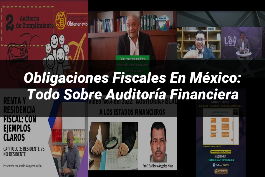 "Obligaciones Fiscales en México: Todo sobre Auditoría Financiera"