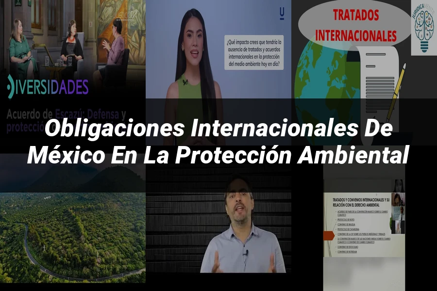 "Obligaciones Internacionales de México en la Protección Ambiental"