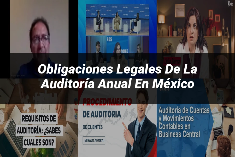 "Obligaciones Legales de la Auditoría Anual en México"