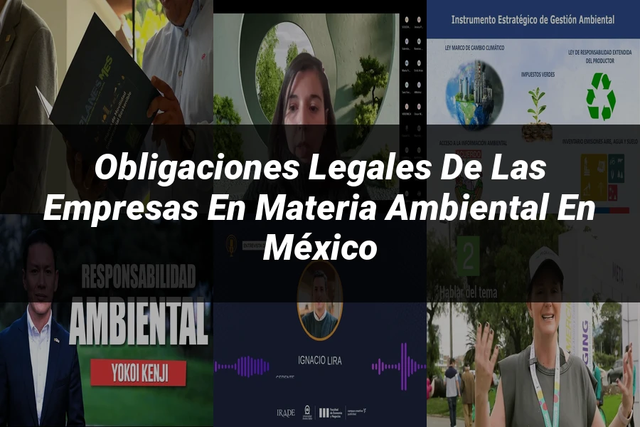 "Obligaciones Legales de las Empresas en Materia Ambiental en México"