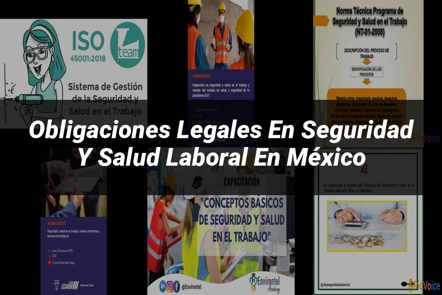 "Obligaciones Legales en Seguridad y Salud Laboral en México"
