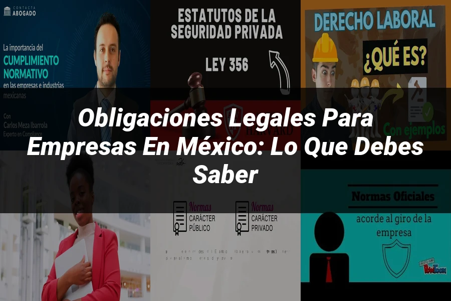 "Obligaciones Legales para Empresas en México: Lo que Debes Saber"