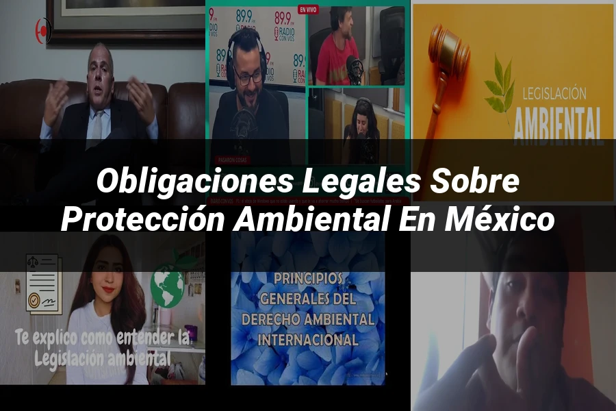 "Obligaciones Legales sobre Protección Ambiental en México"