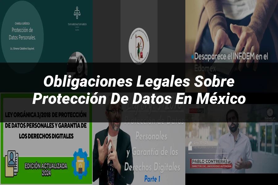 "Obligaciones Legales sobre Protección de Datos en México"