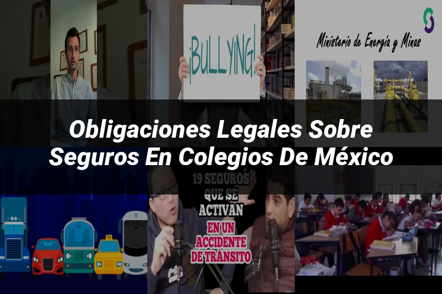 "Obligaciones Legales sobre Seguros en Colegios de México"
