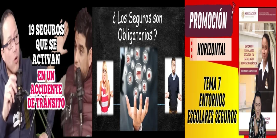 "Obligaciones Legales sobre Seguros en Colegios de México"