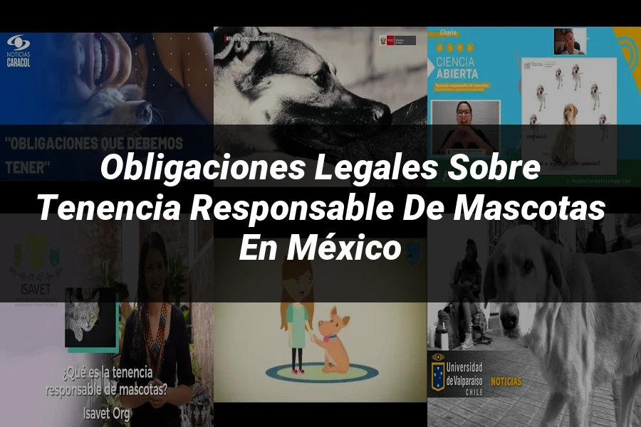 "Obligaciones Legales sobre Tenencia Responsable de Mascotas en México"