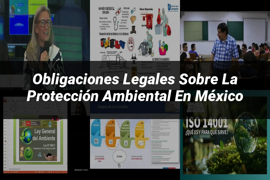 "Obligaciones Legales sobre la Protección Ambiental en México"
