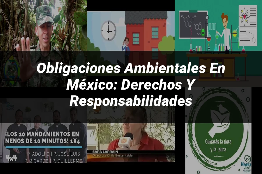 "Obligaciones ambientales en México: derechos y responsabilidades"