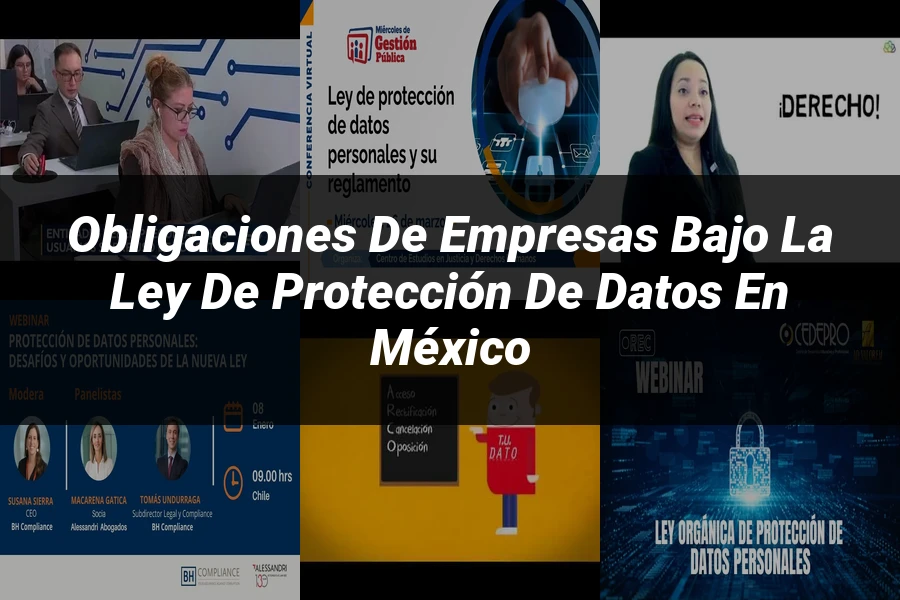 "Obligaciones de Empresas bajo la Ley de Protección de Datos en México"