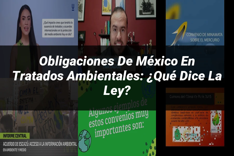"Obligaciones de México en Tratados Ambientales: ¿Qué Dice la Ley?"