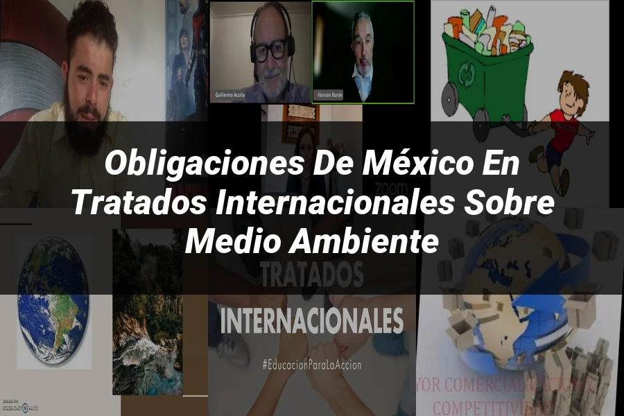 "Obligaciones de México en tratados internacionales sobre medio ambiente"