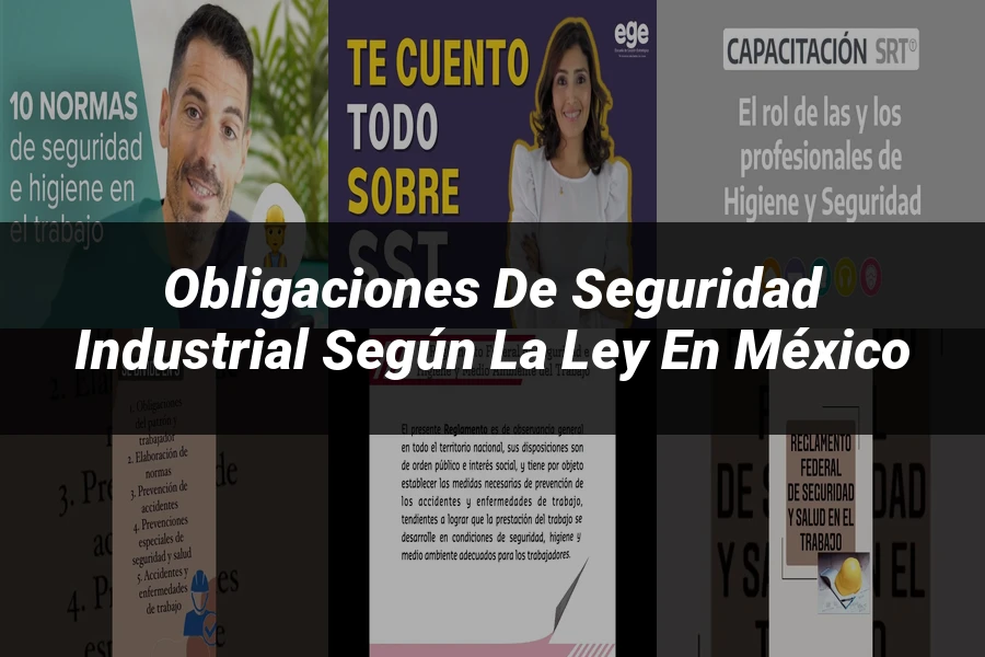 "Obligaciones de Seguridad Industrial según la Ley en México"