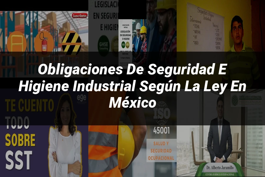 "Obligaciones de Seguridad e Higiene Industrial según la Ley en México"