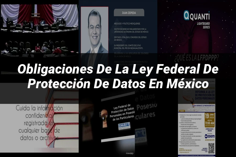 "Obligaciones de la Ley Federal de Protección de Datos en México"
