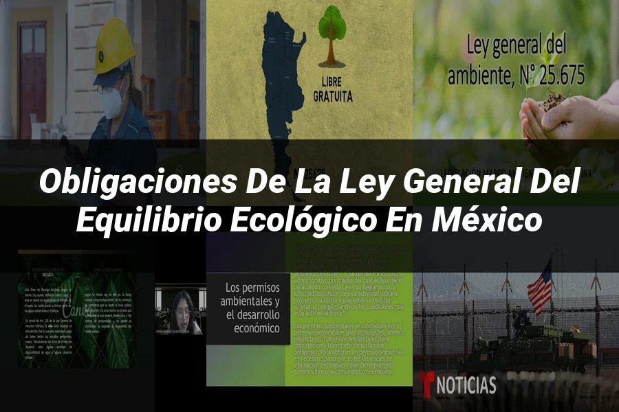 "Obligaciones de la Ley General del Equilibrio Ecológico en México"