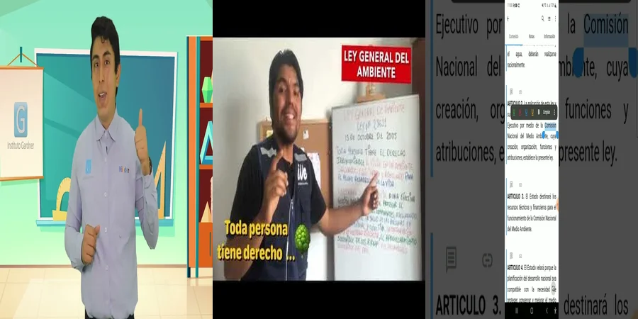 "Obligaciones de la Ley General del Equilibrio Ecológico en México"