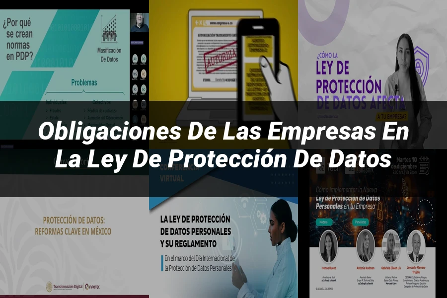"Obligaciones de las Empresas en la Ley de Protección de Datos"