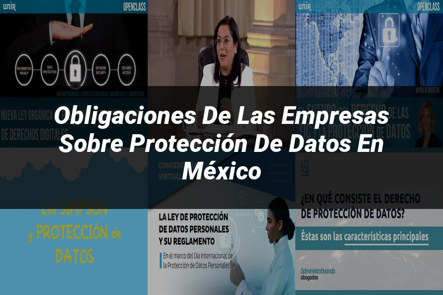 "Obligaciones de las empresas sobre protección de datos en México"