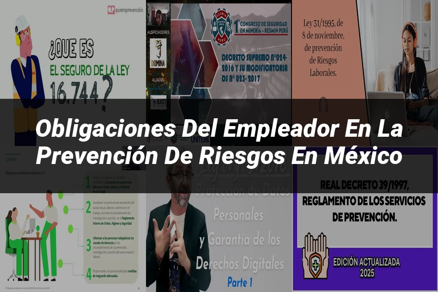"Obligaciones del Empleador en la Prevención de Riesgos en México"