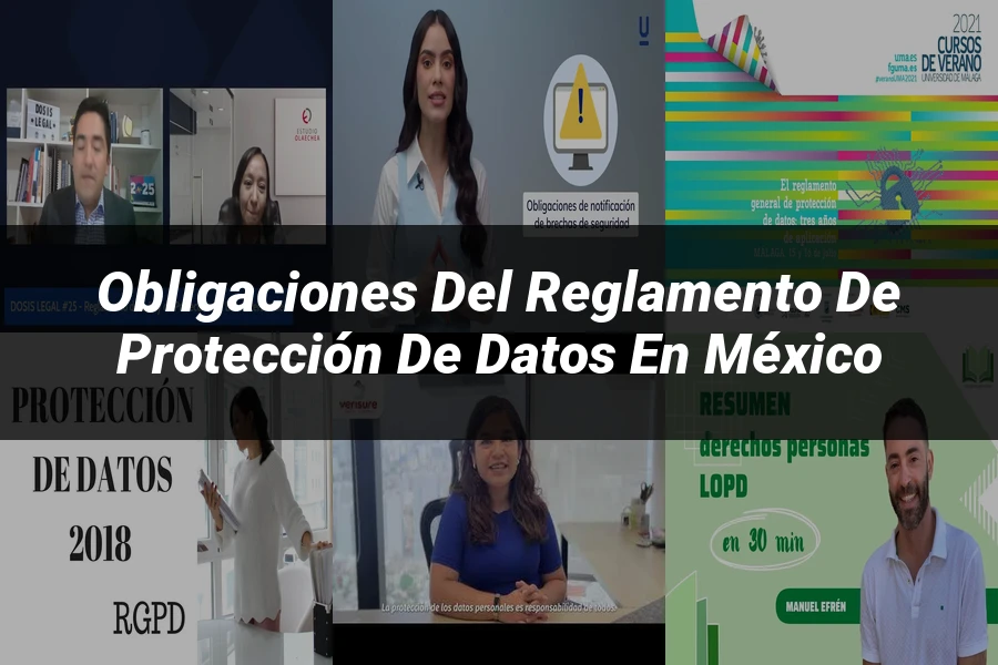 "Obligaciones del Reglamento de Protección de Datos en México"