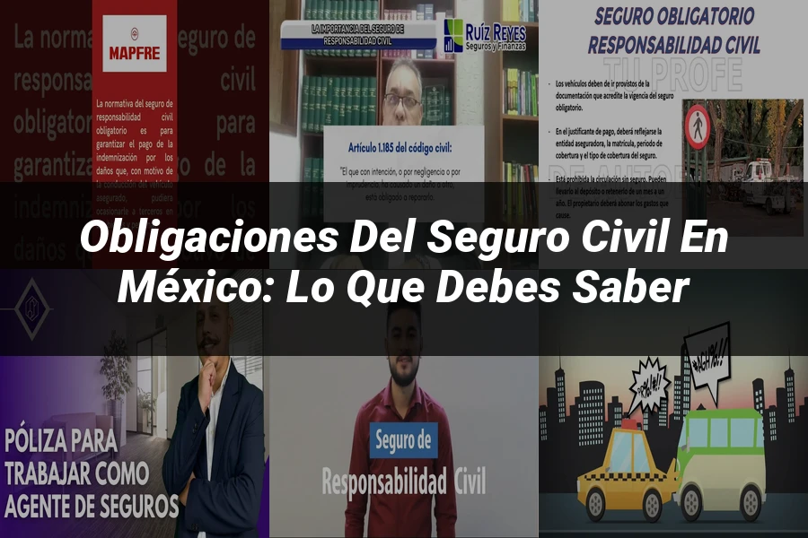 "Obligaciones del Seguro Civil en México: Lo que Debes Saber"