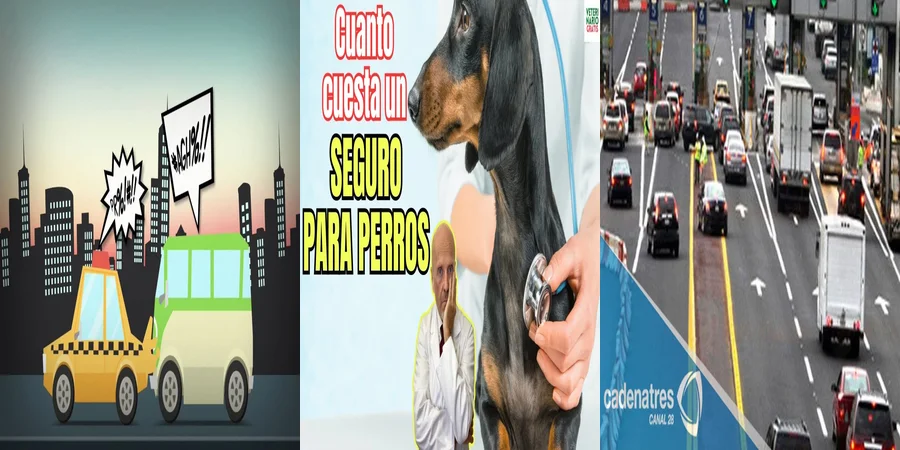 "Obligaciones del Seguro RC en México: ¿Qué Debes Saber?"