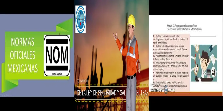 "Obligaciones del empleador en seguridad y salud laboral en México"