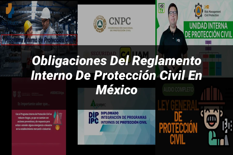 "Obligaciones del reglamento interno de protección civil en México"