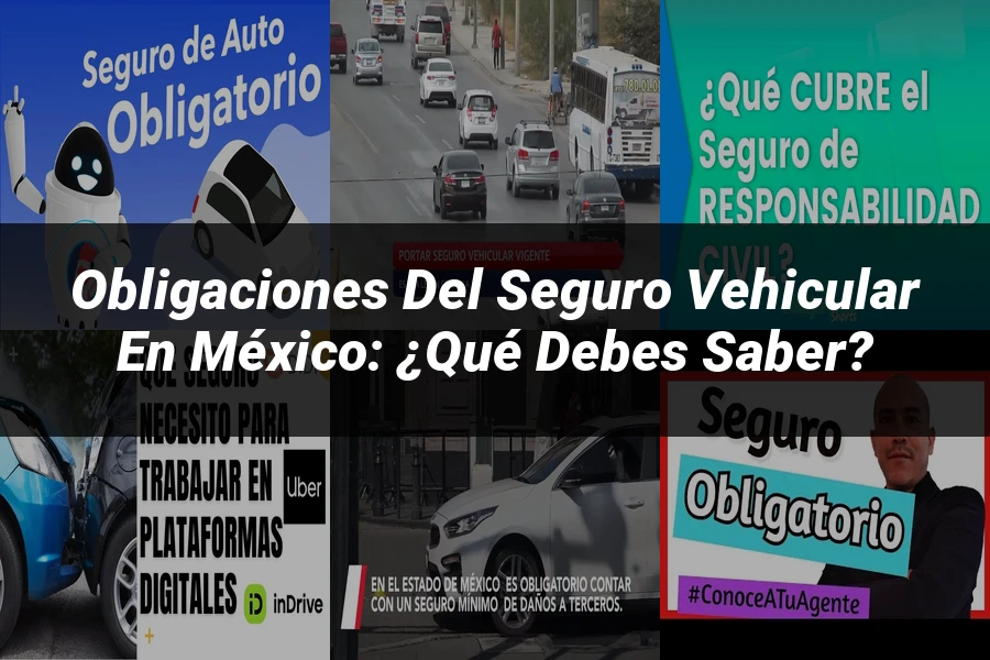 "Obligaciones del seguro vehicular en México: ¿Qué debes saber?"