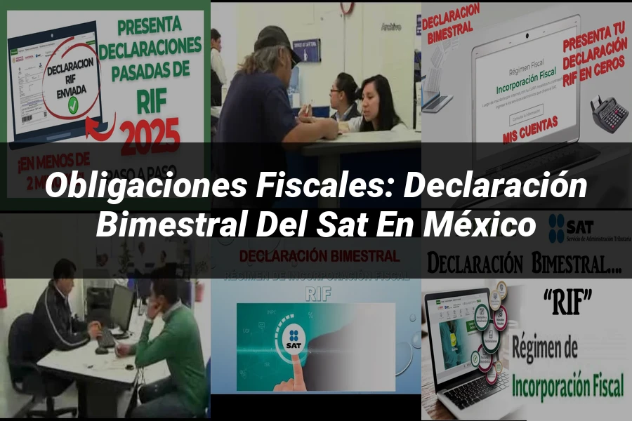 "Obligaciones fiscales: declaración bimestral del SAT en México"