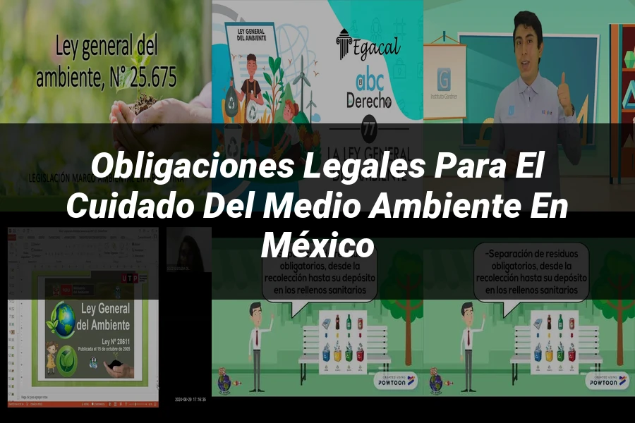 "Obligaciones legales para el cuidado del medio ambiente en México"