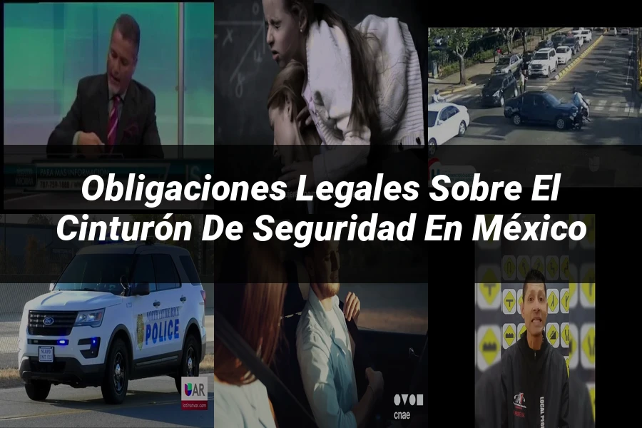 "Obligaciones legales sobre el cinturón de seguridad en México"