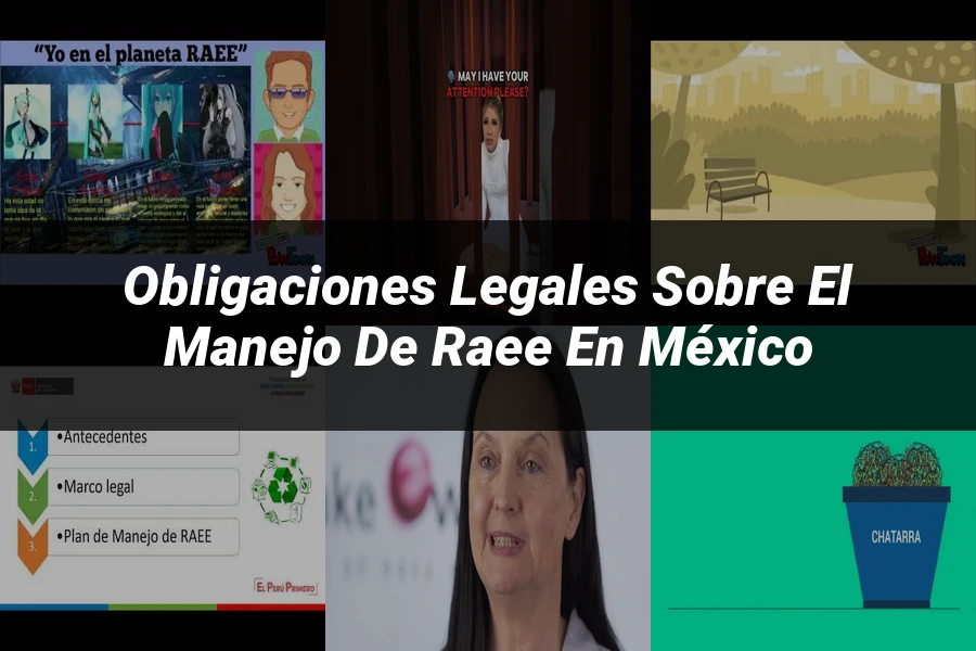 "Obligaciones legales sobre el manejo de raee en México"