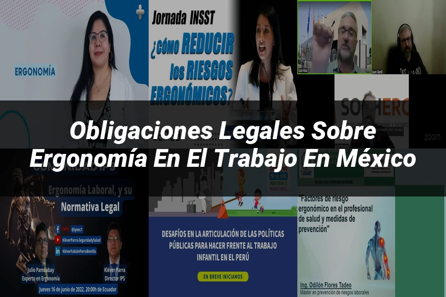 "Obligaciones legales sobre ergonomía en el trabajo en México"