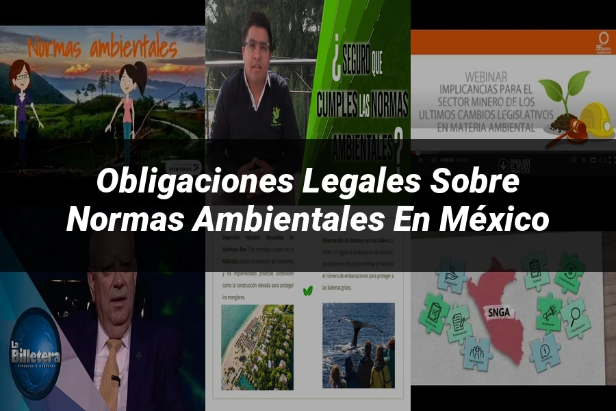 "Obligaciones legales sobre normas ambientales en México"