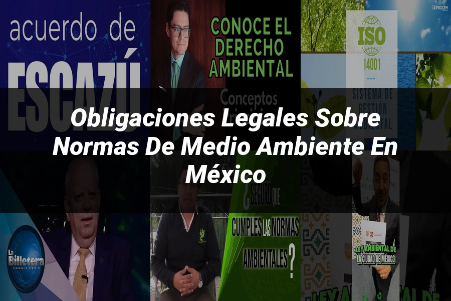 "Obligaciones legales sobre normas de medio ambiente en México"