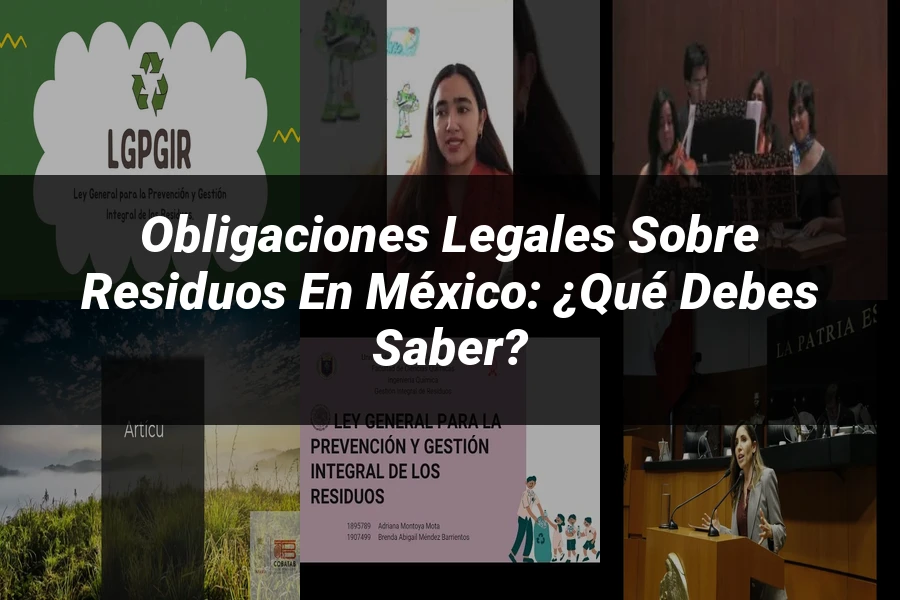 "Obligaciones legales sobre residuos en México: ¿Qué debes saber?"